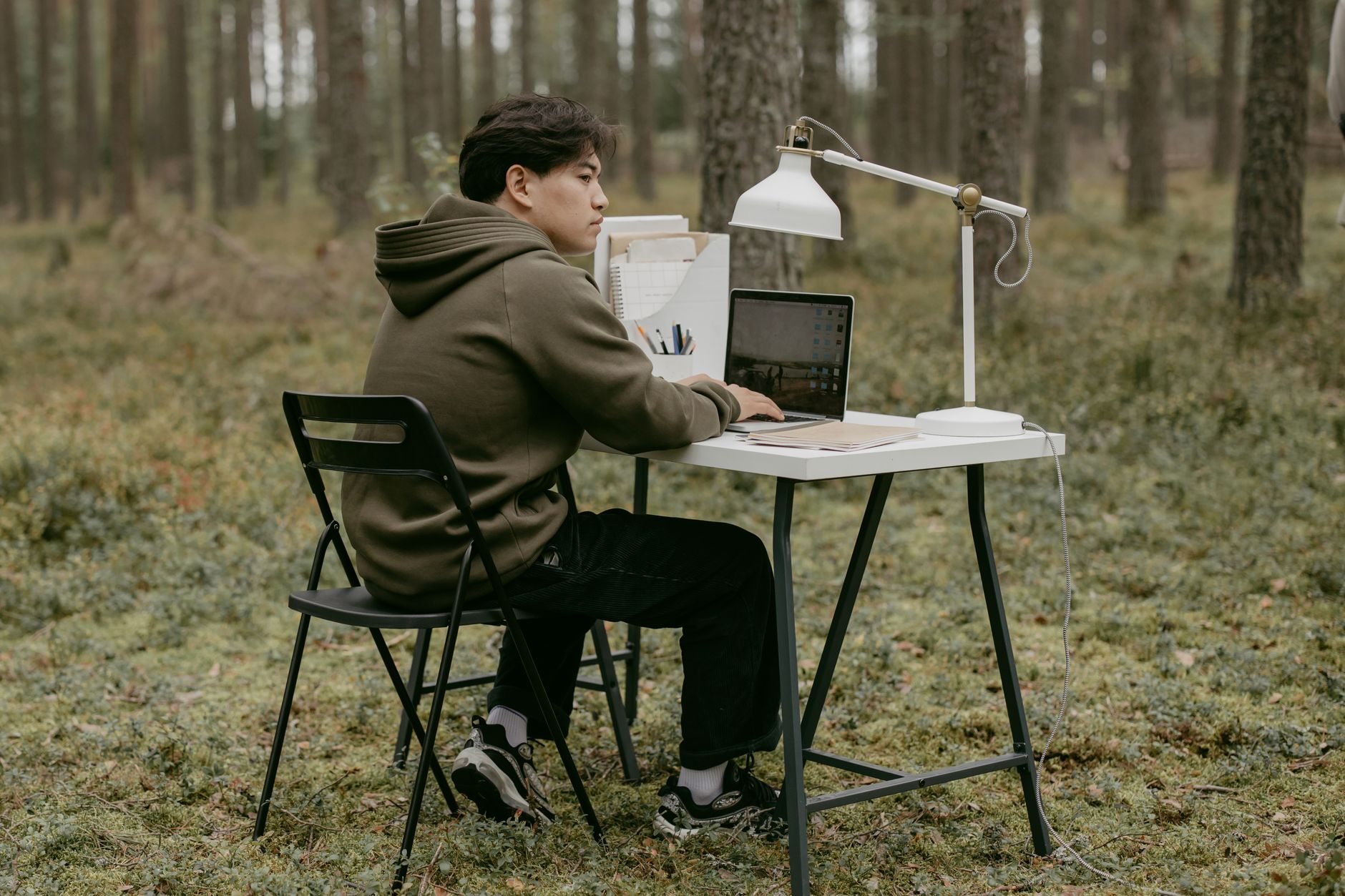 Hundefutter online vermarkten: Sichtbarkeit 2026